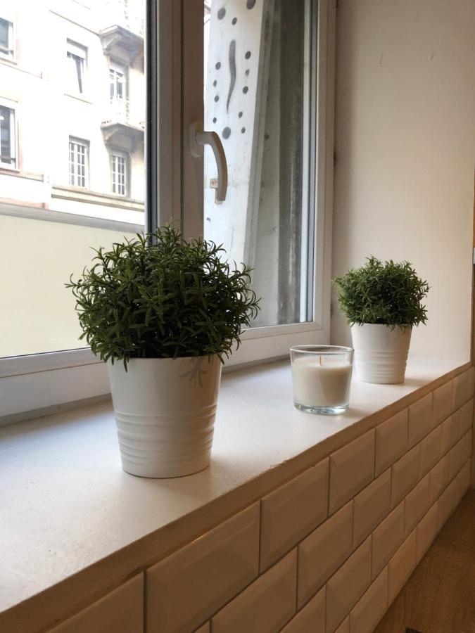 Le Strasbourgeois Apartment Luaran gambar